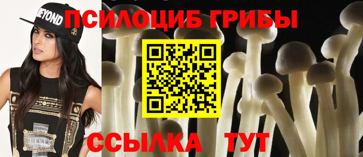 Рассказово  Галлюциногенные грибы ЛСД  Псилоцибиновые грибы Cubensis  Вход с VPN 