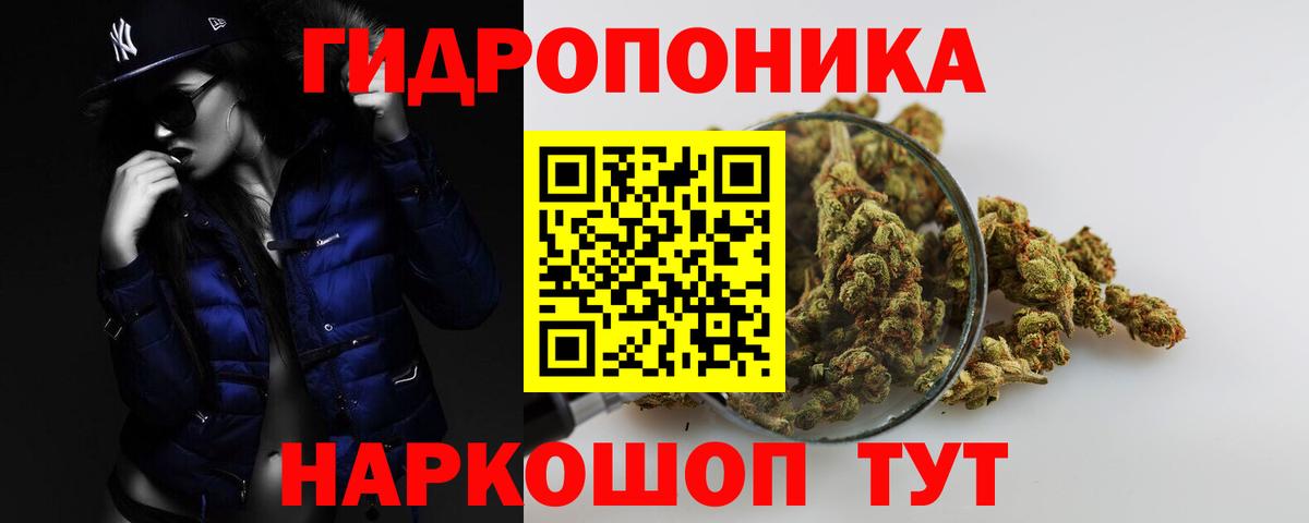 Бошки марихуана марихуана Рассказово